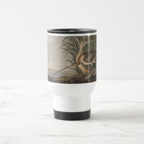 Audubon Long_Billed Curlew Bird Travel Mug