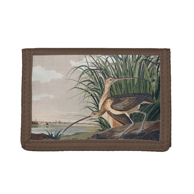 Audubon Long-Billed Curlew Bird Trifold Wallet (Front)