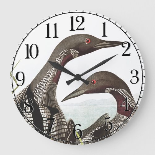 Audubon Loon Diver Birds Animal Wall Clock