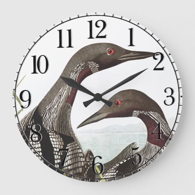 Audubon Loon Diver Birds Animal Wall Clock (Front)