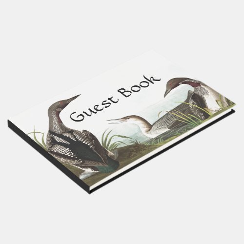 Audubon Loon Diver Birds Wildlife Guest Book