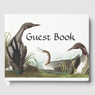 Audubon Loon Diver Birds Wildlife Guest Book