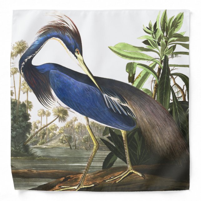 Audubon Louisiana Heron Bird Wildlife Bandana (Front)