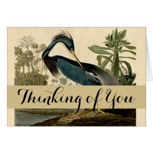 Audubon Louisiana Heron Birds America Art