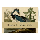 Audubon Louisiana Heron Birds America Art (Front Horizontal)