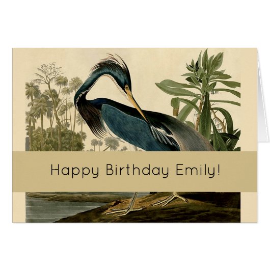 Audubon Louisiana Heron Birds America Art (Front Horizontal)