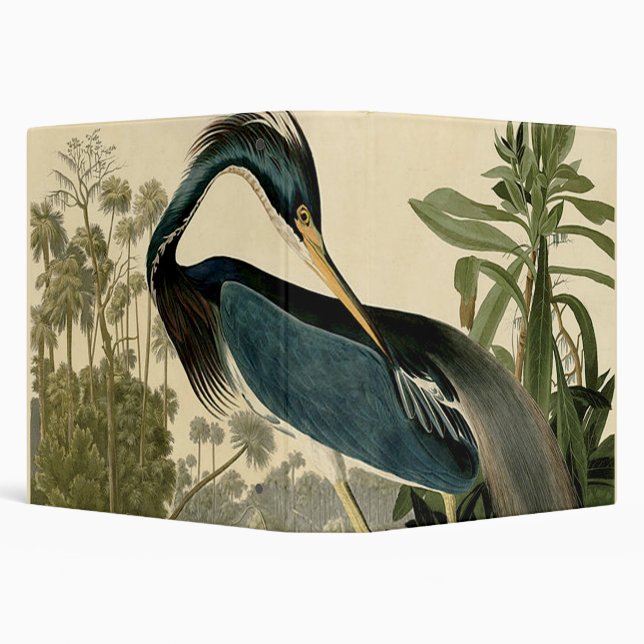 Audubon Louisiana Heron Birds America Art 3 Ring Binder (Background)
