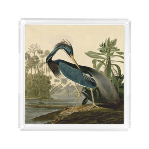 Audubon Louisiana Heron Birds America Art Acrylic Tray