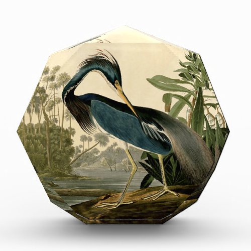 Audubon Louisiana Heron Birds America Art Award