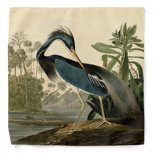 Audubon Louisiana Heron Birds America Art Bandana (Front)