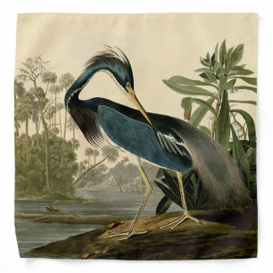 Audubon Louisiana Heron Birds America Art Bandana