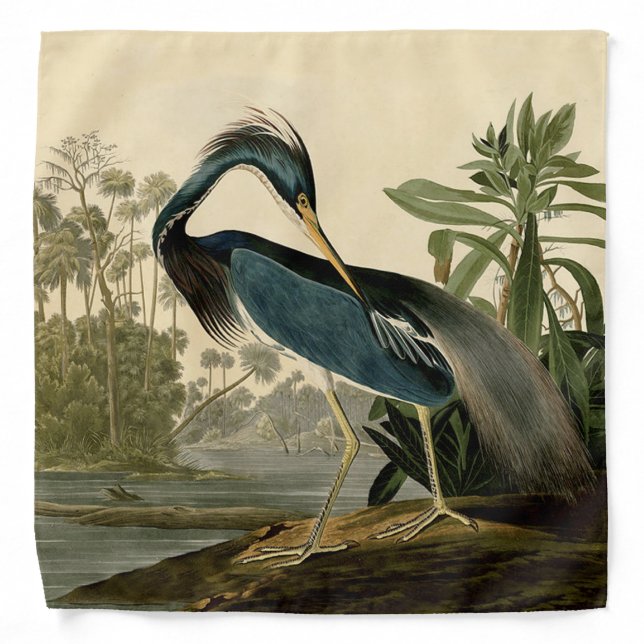 Audubon Louisiana Heron Birds America Art Bandana (Front)