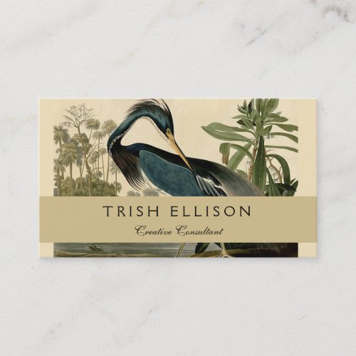 Audubon Louisiana Heron Birds America Art Business Card