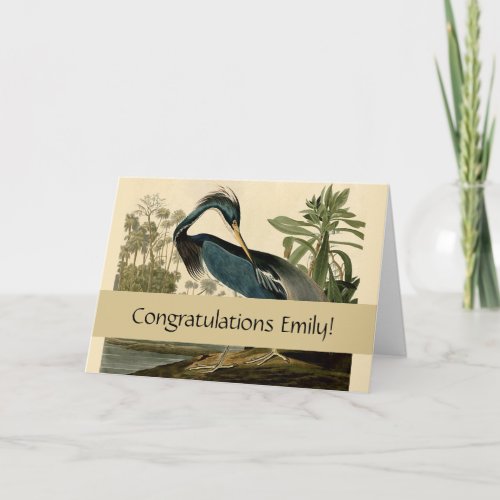 Audubon Louisiana Heron Birds America Art Card