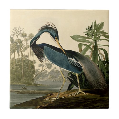 Audubon Louisiana Heron Birds America Art Ceramic Tile