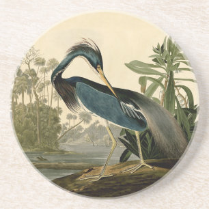 Audubon Louisiana Heron Birds America Art Coaster