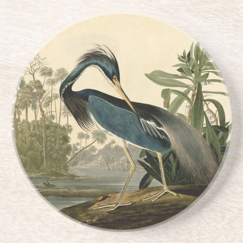 Audubon Louisiana Heron Birds America Art Coaster