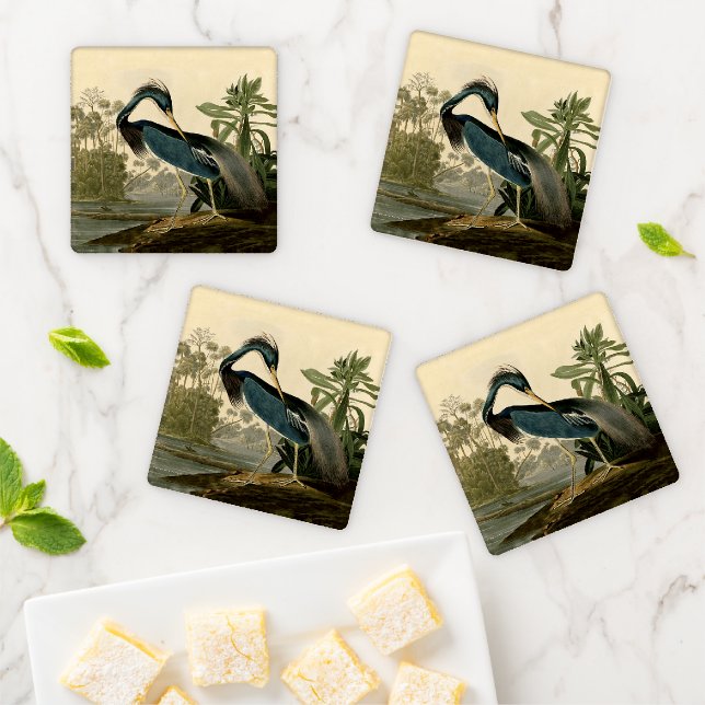 Audubon Louisiana Heron Birds America Art Coaster Set (In Situ)