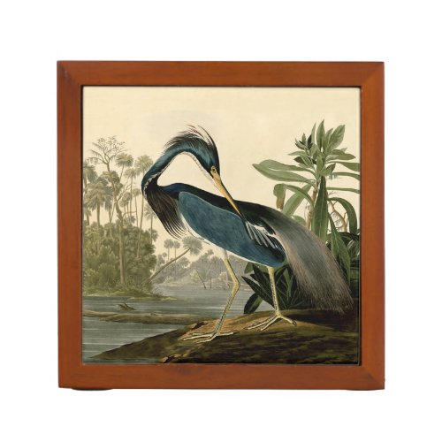 Audubon Louisiana Heron Birds America Art Desk Organizer