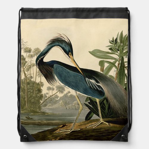Audubon Louisiana Heron Birds America Art Drawstring Bag