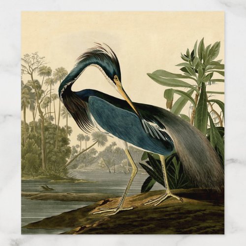 Audubon Louisiana Heron Birds America Art Envelope Liner