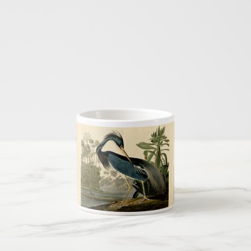 Audubon Louisiana Heron Birds America Art Espresso Cup