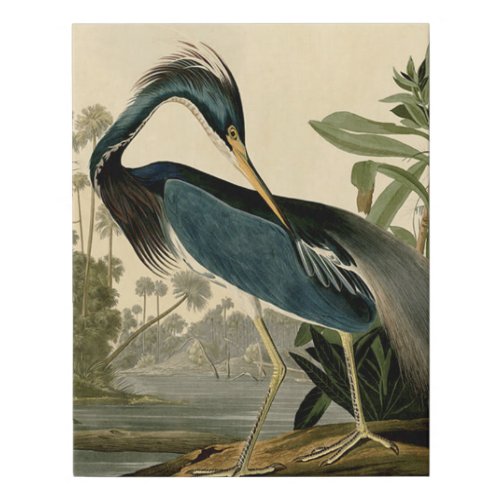 Audubon Louisiana Heron Birds America Art Faux Canvas Print