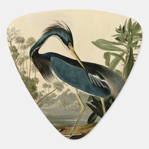 Audubon Louisiana Heron Birds America Art Guitar Pick