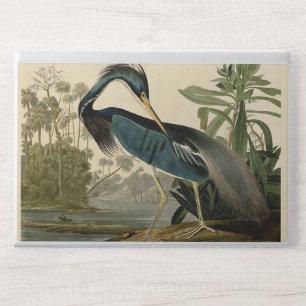 Audubon Louisiana Heron Birds America Art HP Laptop Skin