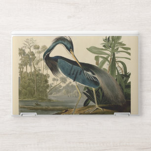 Audubon Louisiana Heron Birds America Art HP Laptop Skin