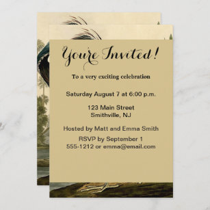 Audubon Louisiana Heron Birds America Art Invitation