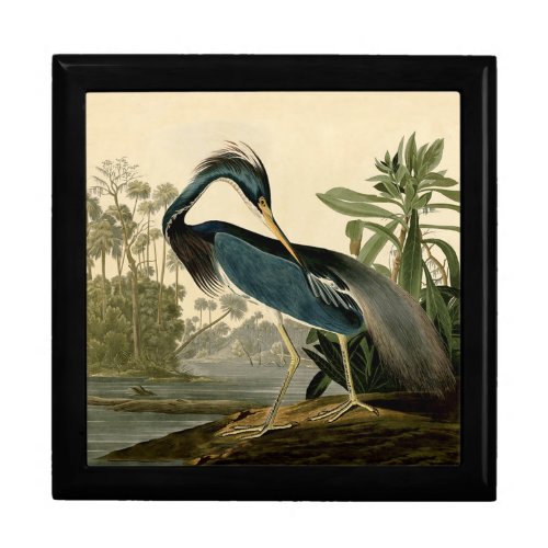 Audubon Louisiana Heron Birds America Art Keepsake Box