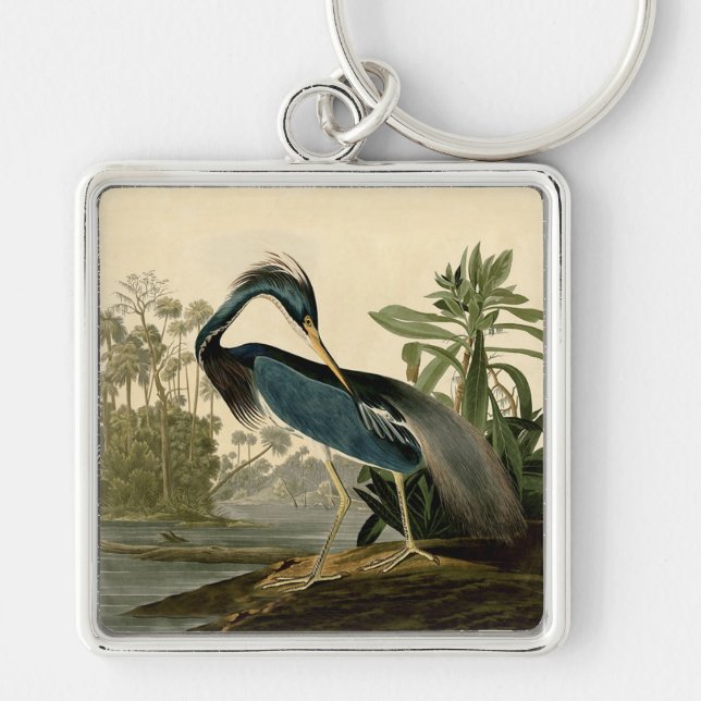 Audubon Louisiana Heron Birds America Art Keychain (Front)