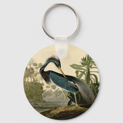 Audubon Louisiana Heron Birds America Art Keychain