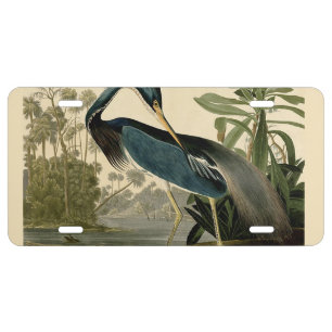 Audubon Louisiana Heron Birds America Art License Plate