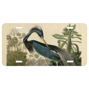 Audubon Louisiana Heron Birds America Art License Plate