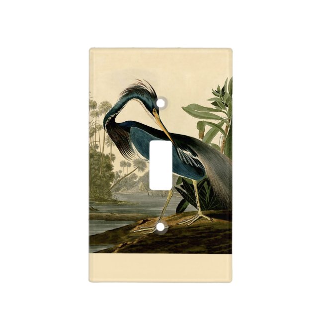 Audubon Louisiana Heron Birds America Art Light Switch Cover (Front)