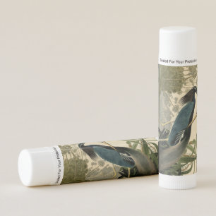 Audubon Louisiana Heron Birds America Art Lip Balm