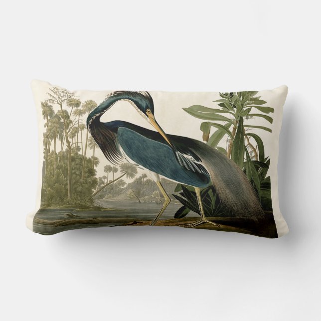 Audubon Louisiana Heron Birds America Art Lumbar Pillow (Front)