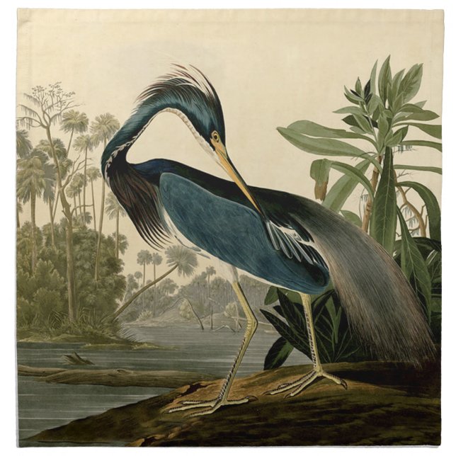Audubon Louisiana Heron Birds America Art Napkin (Front)