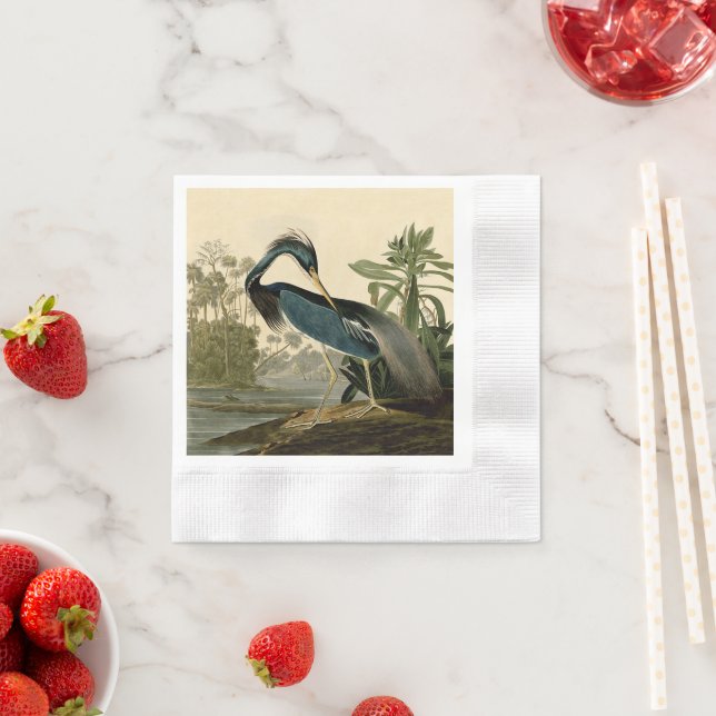Audubon Louisiana Heron Birds America Art Napkins (Insitu)