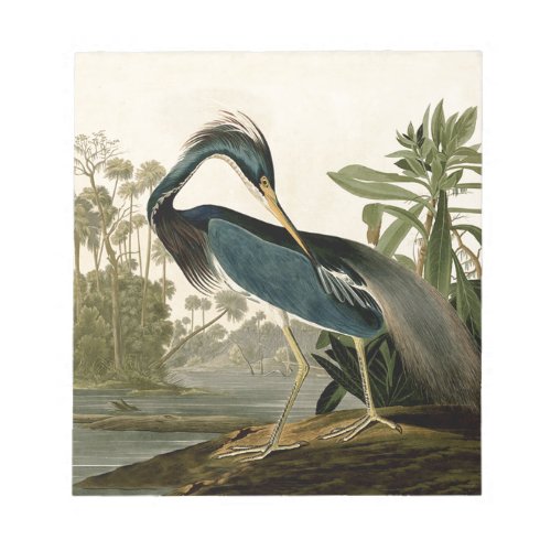 Audubon Louisiana Heron Birds America Art Notepad