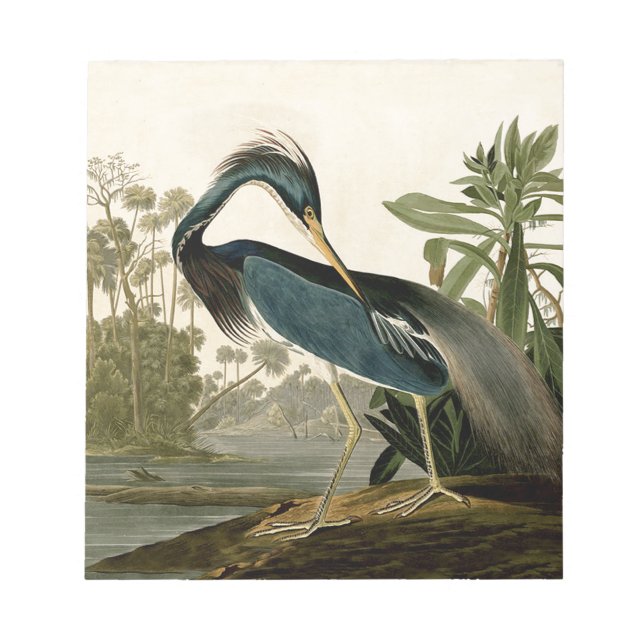 Audubon Louisiana Heron Birds America Art Notepad (Front)