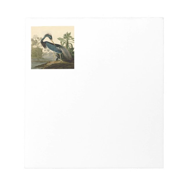 Audubon Louisiana Heron Birds America Art Notepad (Front)