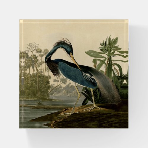 Audubon Louisiana Heron Birds America Art Paperweight