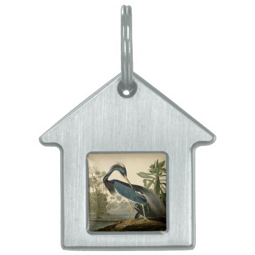 Audubon Louisiana Heron Birds America Art Pet Name Tag