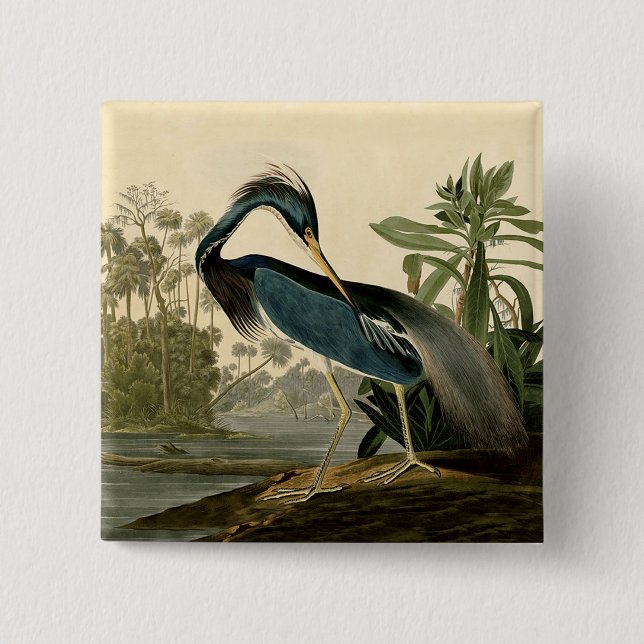 Audubon Louisiana Heron Birds America Art Pinback Button (Front)