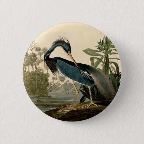 Audubon Louisiana Heron Birds America Art Pinback Button