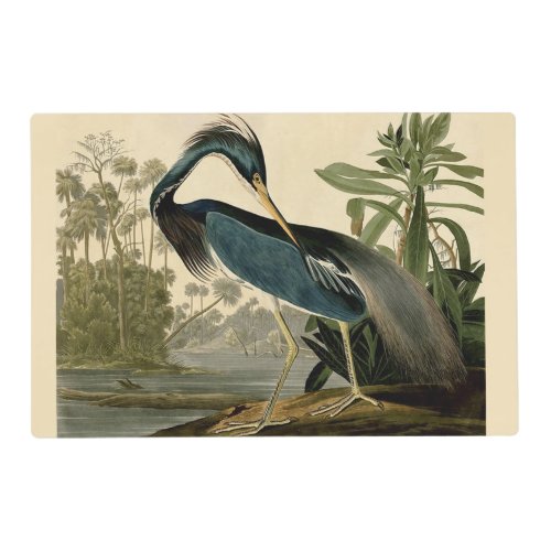 Audubon Louisiana Heron Birds America Art Placemat