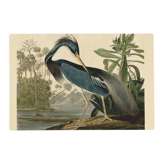 Audubon Louisiana Heron Birds America Art Placemat (Front)